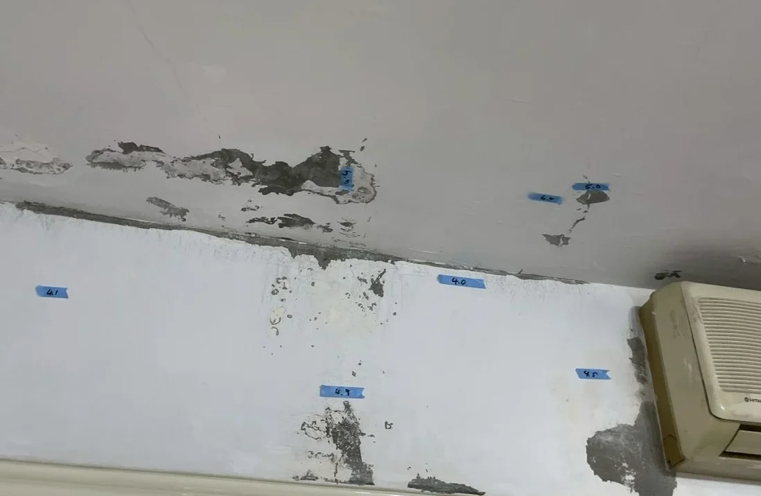 Line Album 1150112廖皇奇漏水檢測工程 260116 1