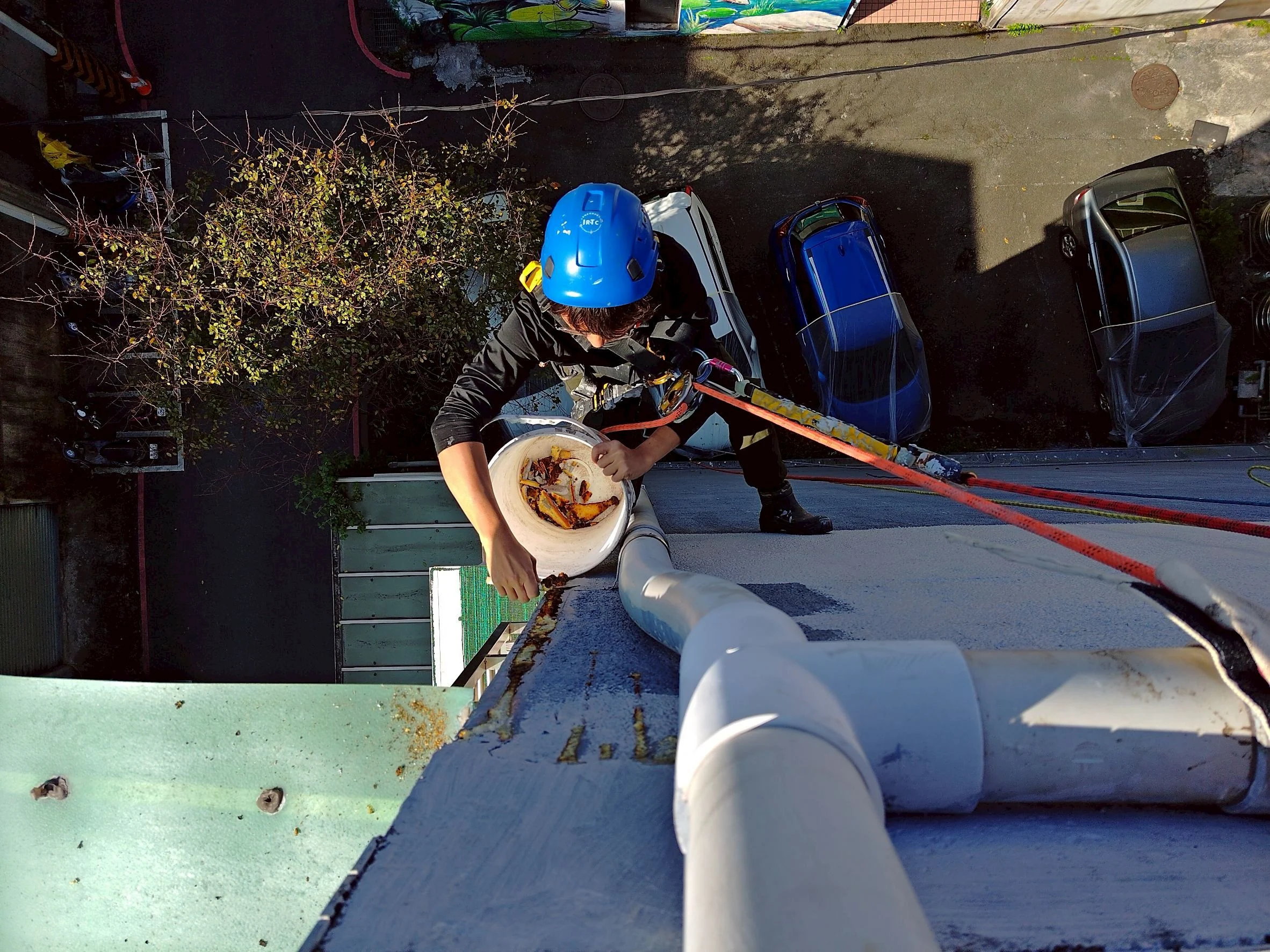 Line Album 新店區防水作業 260107 1